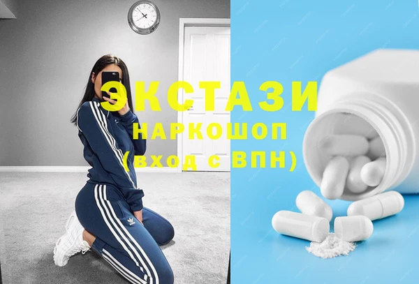 стаф Богданович